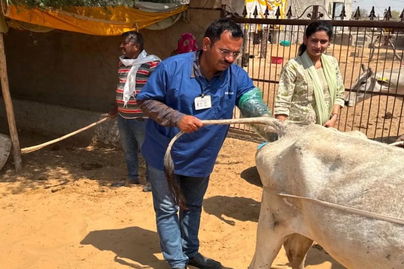 कृत्रिम गर्भाधान