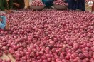 Alwar onion