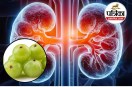 Kidney health tips in Hindi, Amla juice for kidney stone, Natural remedies for kidney, Healthy kidney drink,