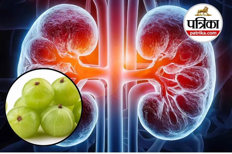 Kidney health tips in Hindi, Amla juice for kidney stone, Natural remedies for kidney, Healthy kidney drink,