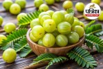 उबला आंवला पोषण,Boiled Amla Benefits,उबला आंवला खाने के फायदे,