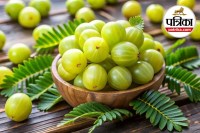 उबला आंवला पोषण,Boiled Amla Benefits,उबला आंवला खाने के फायदे,