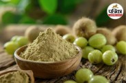 Amla Preservation Tips, Amla Fresh Storage Jugad,