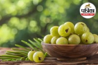 Amla Benefits, Amla Benefits in Hindi, Amla Eating Tips, How to Eat Amla,