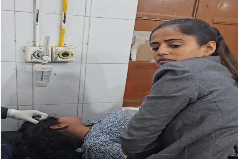 Attack of bumble bees