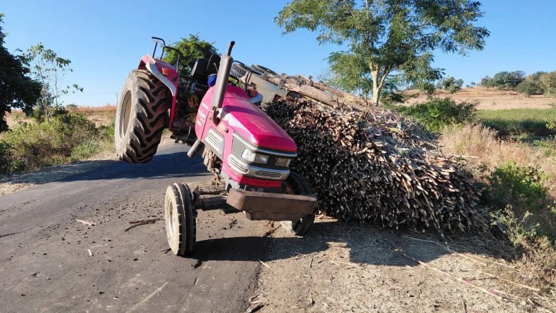 Road safety fortnight