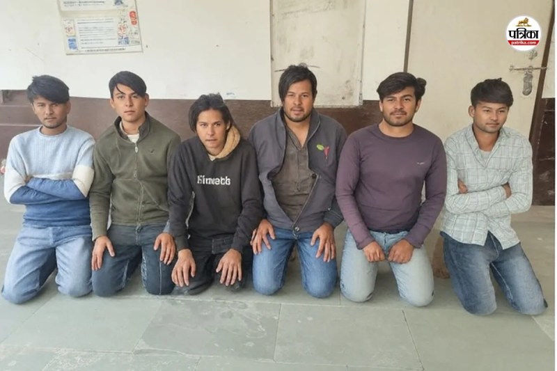 Bharatpur Crime Cyber Fraud new method selling cheap milch cows and buffaloes on social media 26 arrested