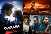 Bollywood Hit Movies 2025