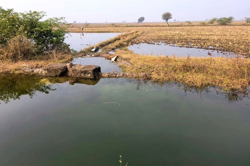 डपटा माइनर ओवरफ्लो होकर छलका, दो दर्जन किसानों की 150 बीघा फसल में भरा नहरी पानी