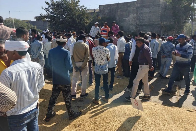 एक्सपोर्टर आने से मंडी में धान के दामों में तेजी