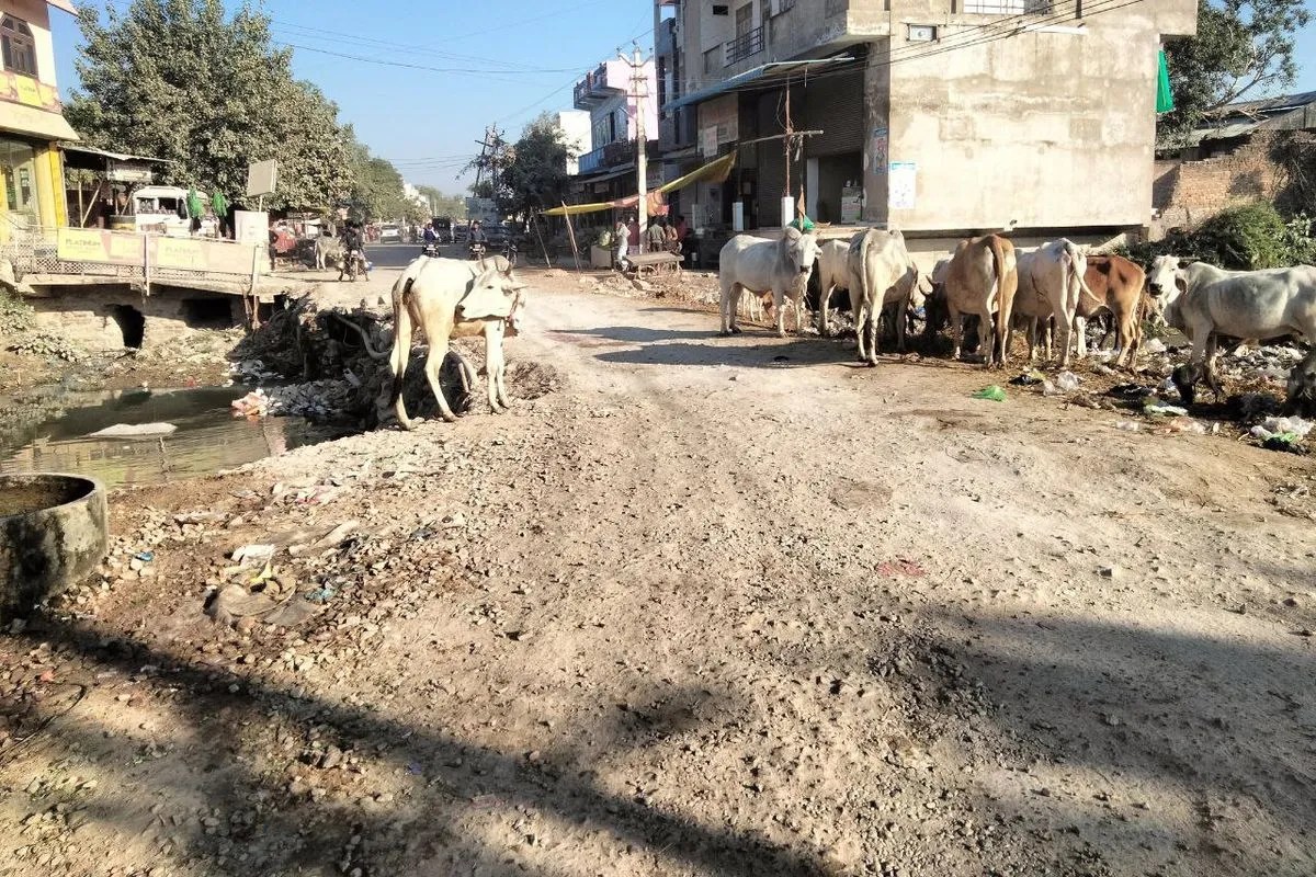 पुलिया का निर्माण नहीं हुआ शुरू, राहगीरों को आवागमन में परेशानी