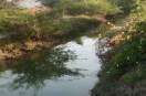 नहरों में बढ़ाया जाए जलप्रवाह