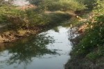 नहरों में बढ़ाया जाए जलप्रवाह