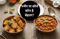 Chickpeas vs Paneer