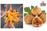 Anjeer for Cholesterol, Dry Fruits for Heart Health, Anjeer benefits for heart,