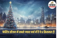 Iconic Christmas Trees,World Most Stunning Christmas Trees,Viral Christmas Trees 2025,