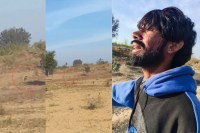 Churu Leopard Attack