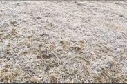 Severe cold in Ambikapur