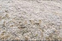 Severe cold in Ambikapur