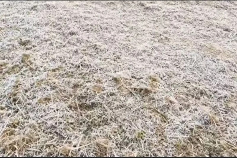 Severe cold in Ambikapur