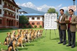 College professors in Uttarakhand will count stray dogs; this government order has sparked outrage