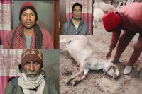 पीड़ित परिवारों को मिली 8 लाख 70 हजार रुपये की सहायता, जांच जारी (फोटो सोर्स : WhatsApp News Group)