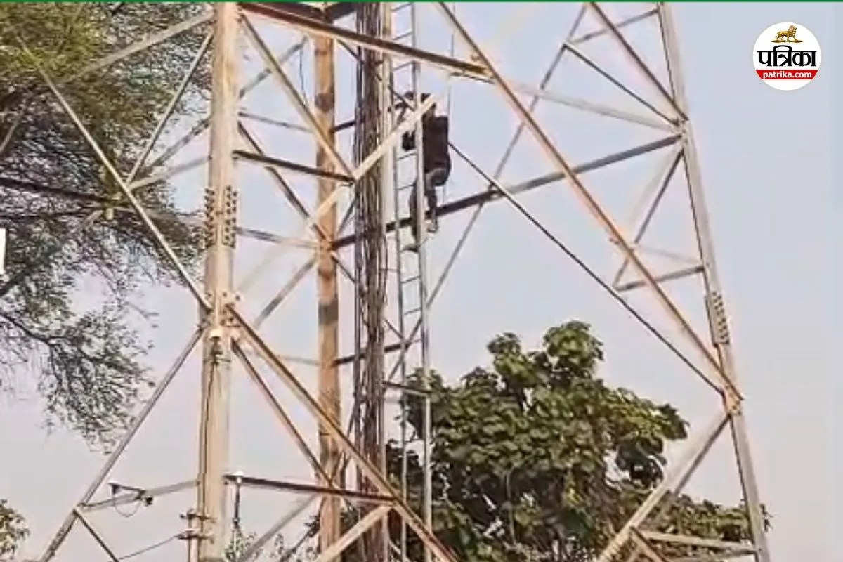 CG News: शराब के नशे में युवक का हाई-वोल्टेज ड्रामा, जियो टावर पर चढ़कर मचाया हंगामा, देखें Video