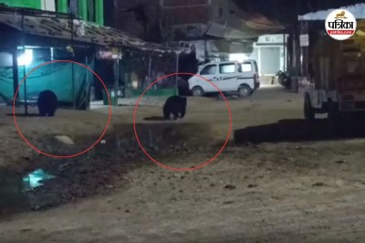 Short video poster image