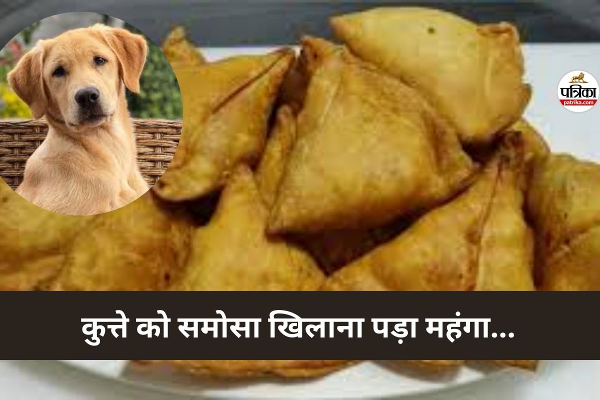 CG News: कुत्ते को समोसा खिलाना पड़ा महंगा… नाश्ता सेंटर में मचा बवाल, मारपीट तक पहुंचा मामला