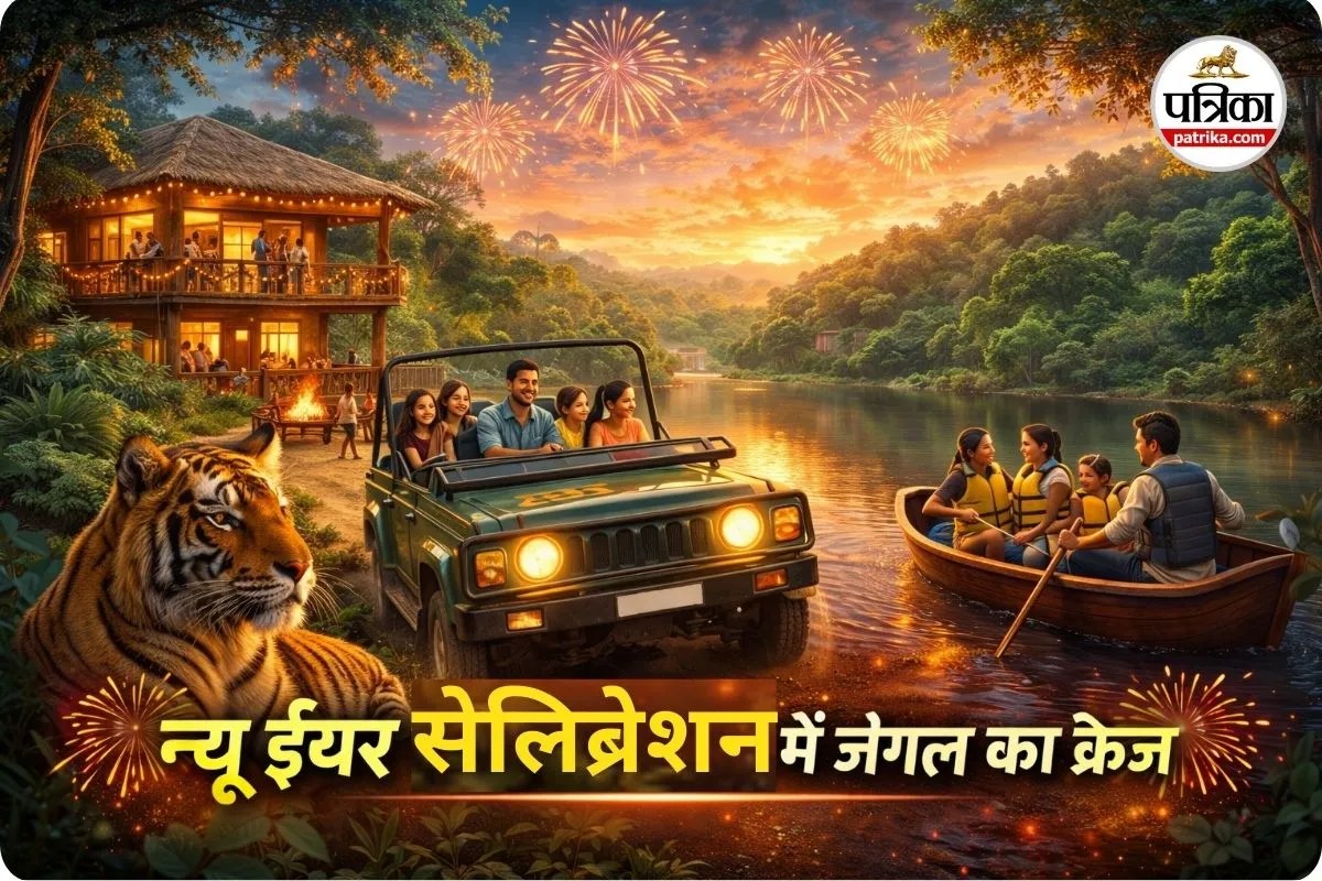 न्यू ईयर सेलिब्रेशन में जंगल का क्रेज, बारनवापारा से अचानकमार तक रिसॉर्ट फुल