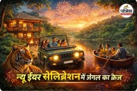 न्यू ईयर सेलिब्रेशन (photo source- Patrika)