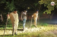 बजाज नगर में शावक लेपर्ड के पग मार्क देखते वनकर्मी, पत्रिका फोटो