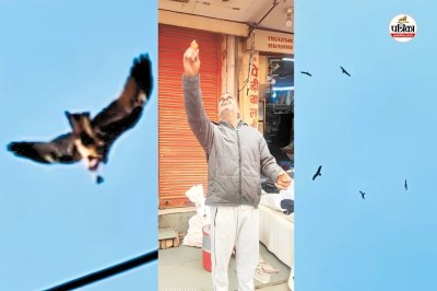 बीकानेर में उड़ती चील को गुलगुले खिलाने की अनुठी परंपरा, पत्रिका फोटो