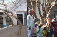 मांदलदा गांव में पेड़ों का संरक्षण, पत्रिका फोटो