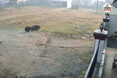 Short video poster image