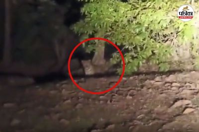 Short video poster image