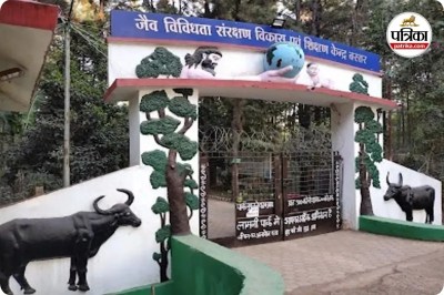 Short video poster image