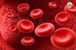 CG News: आदिवासी अंचलों में सिकल सेल का कहर(photo-patrika)