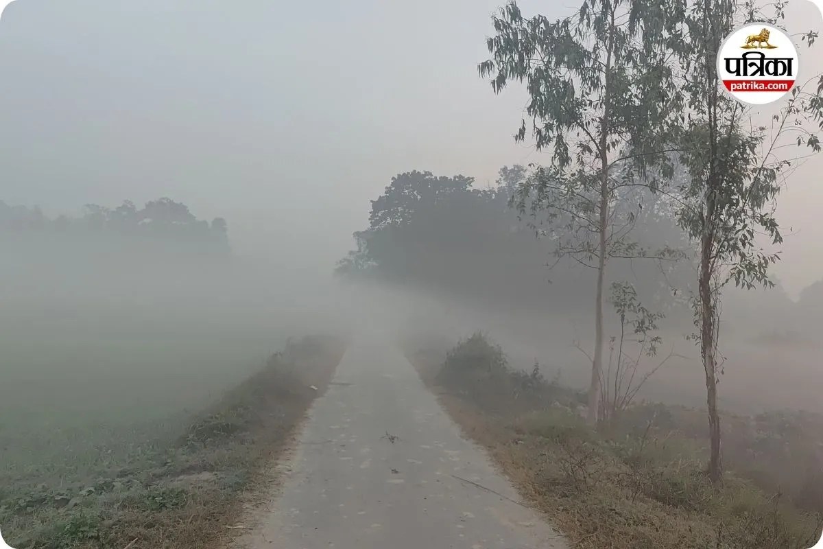 CG Weather News: उत्तरी-मध्य छत्तीसगढ़ में ठंड और कोहरा जारी, तापमान में 3 डिग्री तक गिरावट के आसार