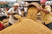 हजारों किसानों को मिला फायदा (photo source- Patrika)
