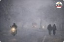 उत्तरी छत्तीसगढ़ में कोहरे का अलर्ट (photo source- Patrika)