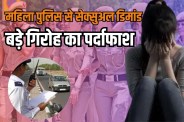 delhi police exposed traffic fraud gang due to fake sticker scam and challan settlement