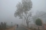 Dense Fog and Cold Wave Grip (फोटो सोर्स : Patrika)