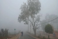 Dense Fog and Cold Wave Grip (फोटो सोर्स : Patrika)