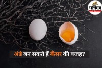 Eggs cancer risk