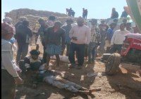 Farmer's died in accident