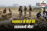 Food Poisoning Symptoms