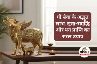 Gau Seva Benefits
