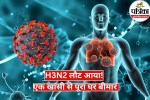 H3N2 flu cases 2025