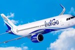 Up news, gorakhpur news, indigo airlines